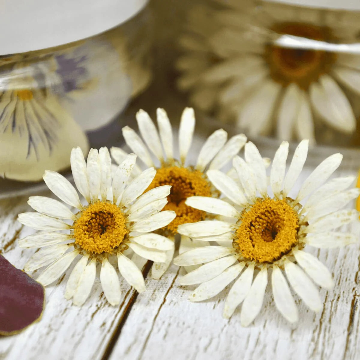 FLEURS DIVERS SÉCHÉES - COMESTIBLES