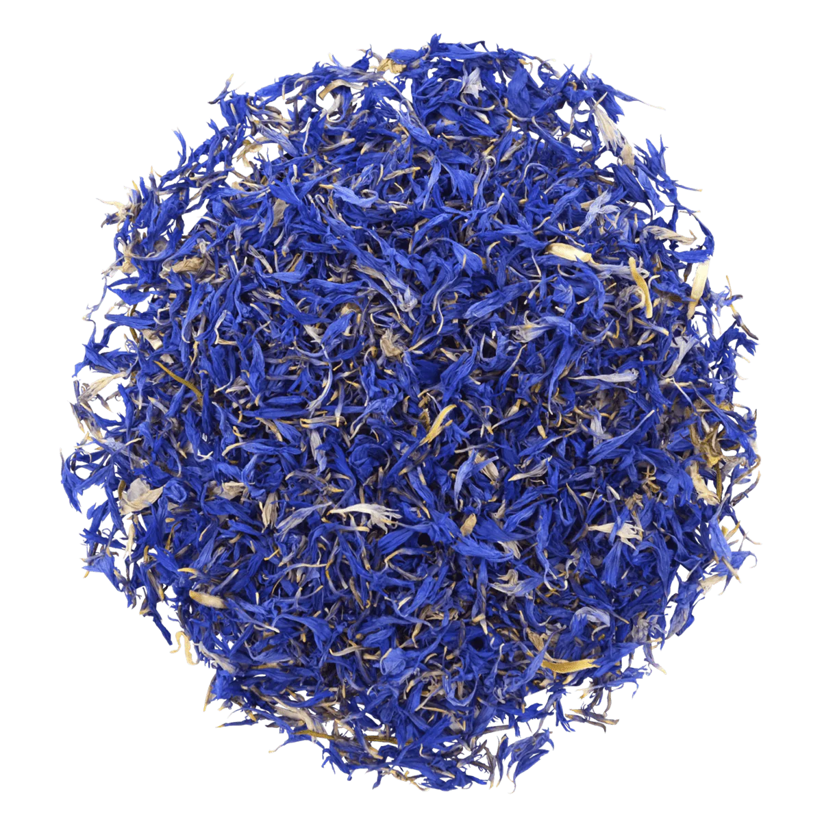 FLEURS DE BLEUET – COMESTIBLE