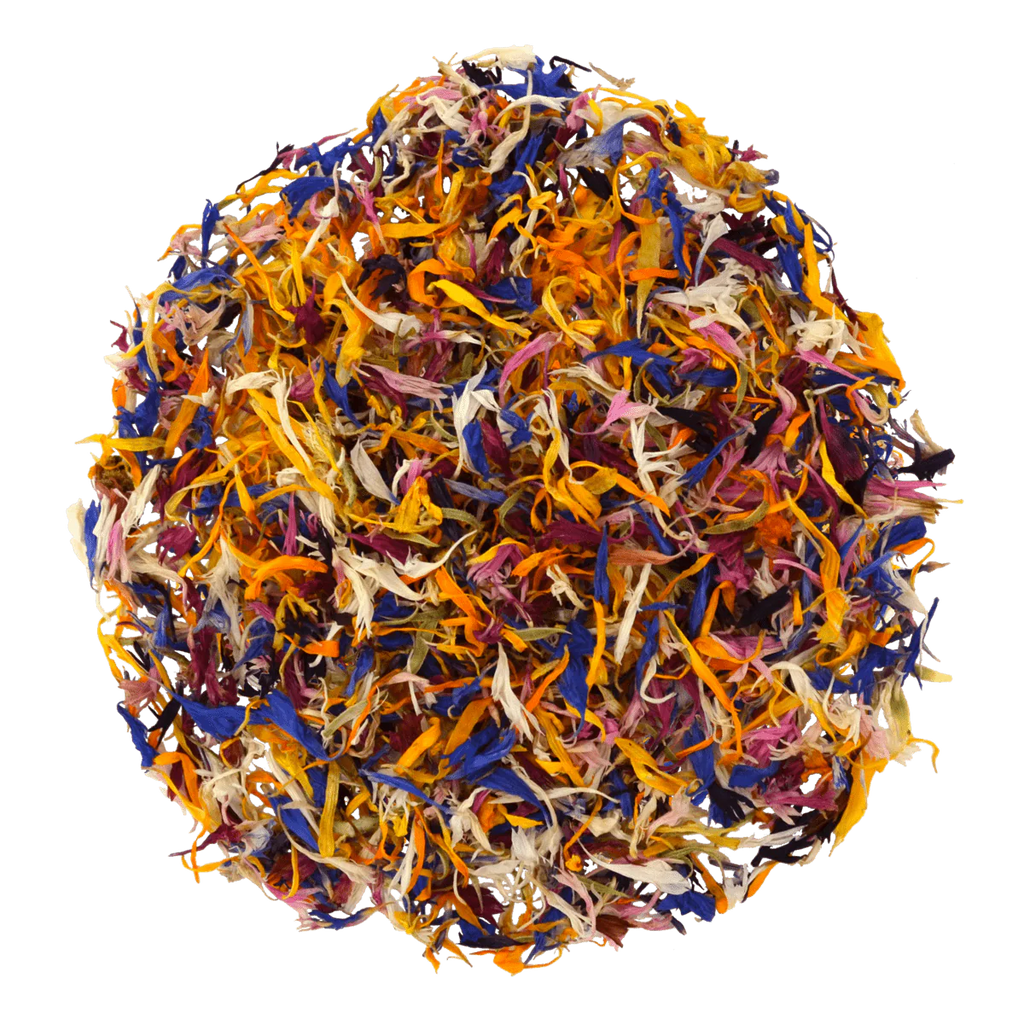 FLEURS DE BLEUET – COMESTIBLE