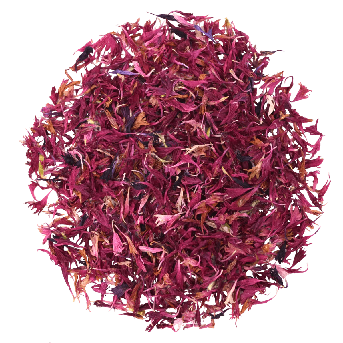 FLEURS DE BLEUET – COMESTIBLE
