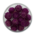 FLEURS GOMPHRENA SÉCHÉES - COMESTIBLES