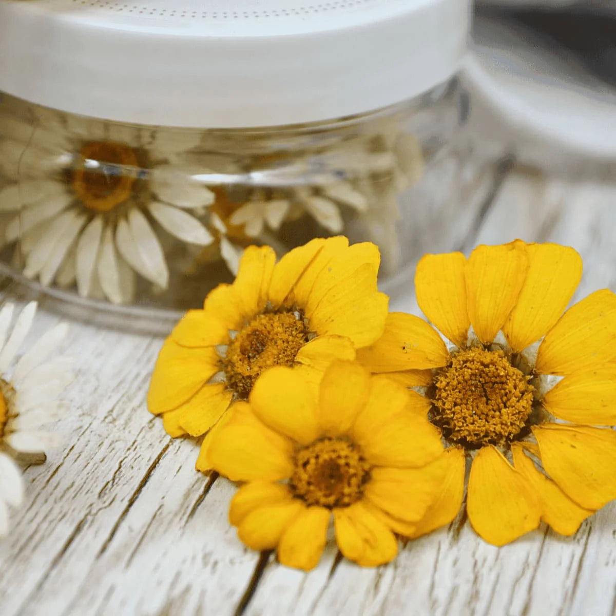 FLEURS DIVERS SÉCHÉES - COMESTIBLES