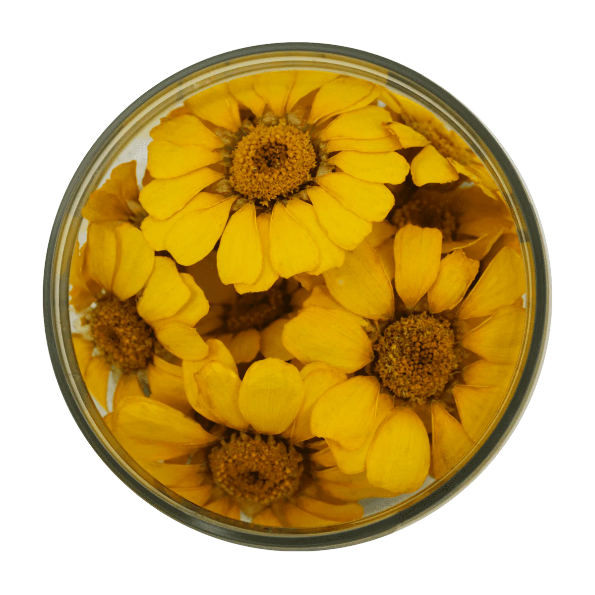 FLEURS DIVERS SÉCHÉES - COMESTIBLES