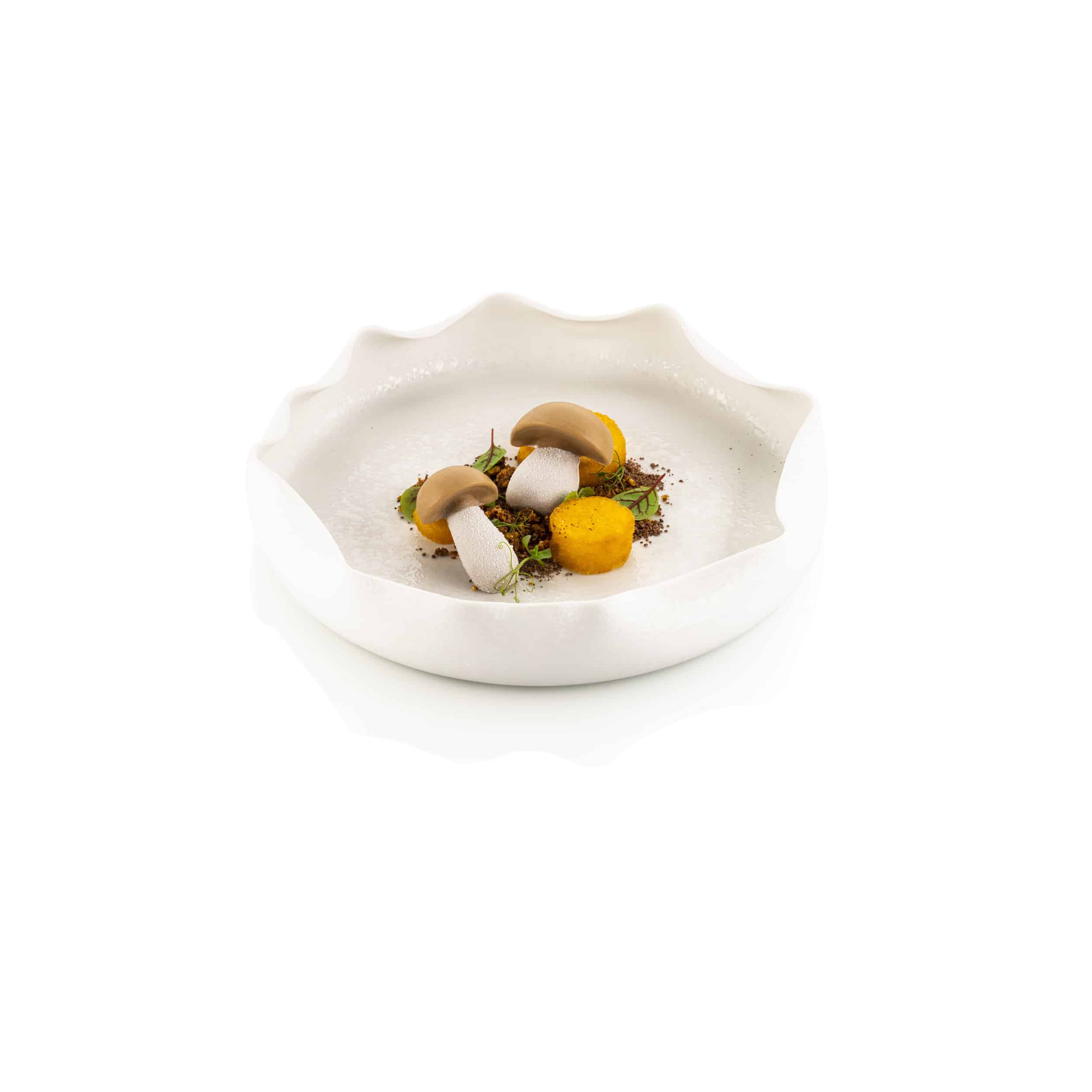 PORCINO (CHAMPIGNON)