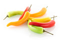 PEPERONCINO 13