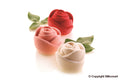 ROSE 145