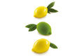 LIMONE & LIME 120