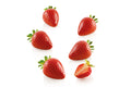 FRAGOLA 30