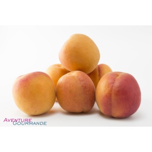 Purée fruits tuttafrutta abricot