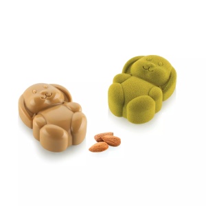 moule RABBIT silicone